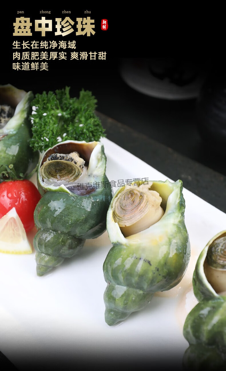加拿大翡翠螺特大海螺响螺椰子螺香波螺新鲜鲜活冷冻刺身水产【图片