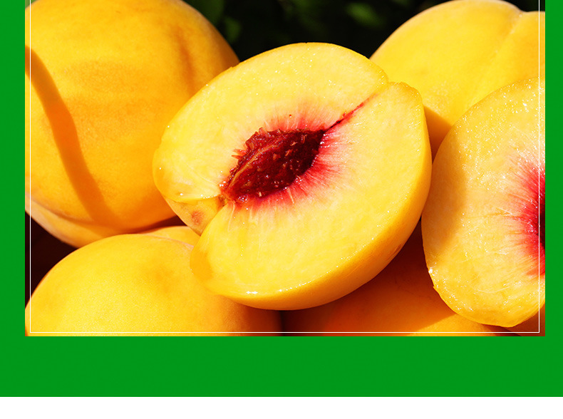 顺丰 嘉善姚庄锦绣黄桃12个礼盒装新鲜当季孕妇水果产地 9颗 净重5斤