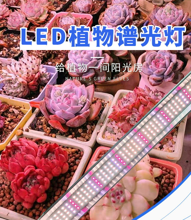 多肉植物专用补光灯上色防徒全光谱仿太阳生长灯家用室内阳台led60