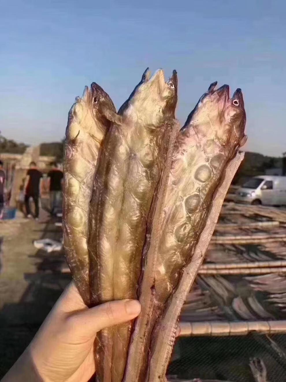 舟山沙鳗鲞油鳗干船晒六成干沙鳗整条鳗鱼肉特产海鲜干货小沙鳗250克