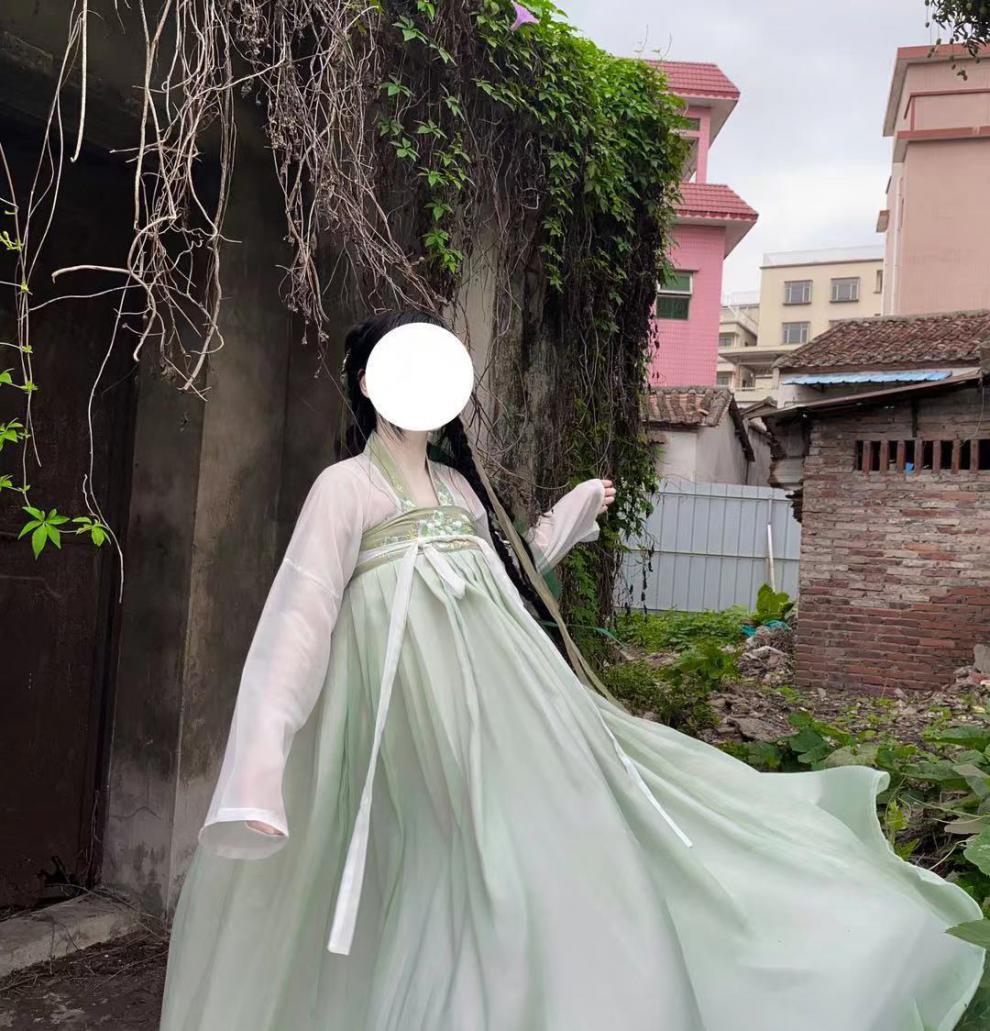 赫纳芙辞镜原创一片式刺绣对襟齐胸襦裙汉服女米摆春夏秋日常 大袖衫