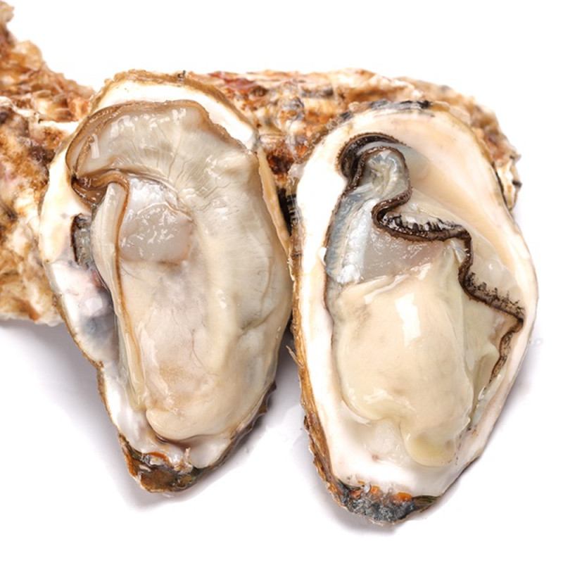 铭心鲜活大生蚝新鲜野生带壳牡蛎王大海蛎烧烤海鲜水产五斤装顺丰年货