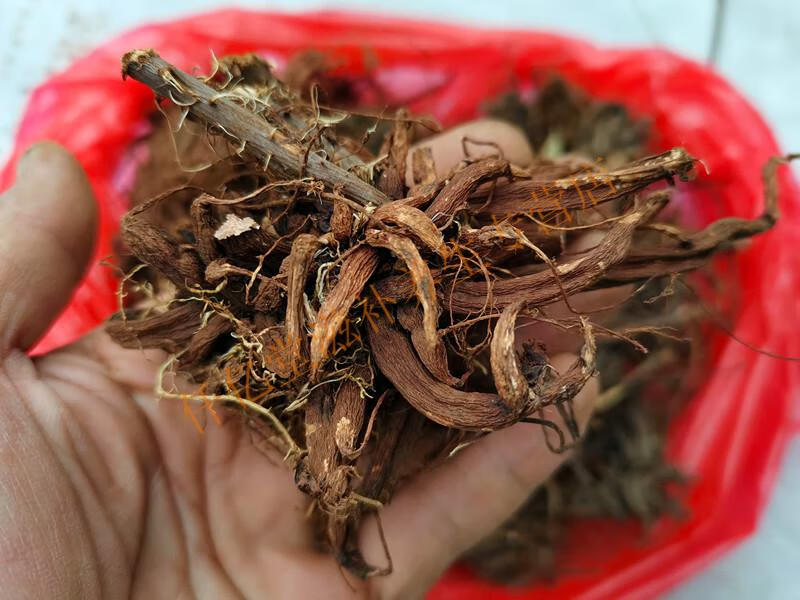 红禾麻根红活麻红火麻小红麻蟹子草500g