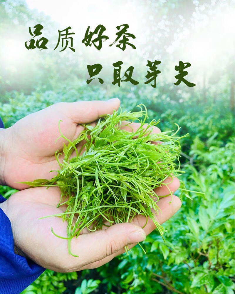 好货严选龙须芽尖莓茶来凤藤茶张家界茅岩莓茶2021新茶叶土家甘露罐装