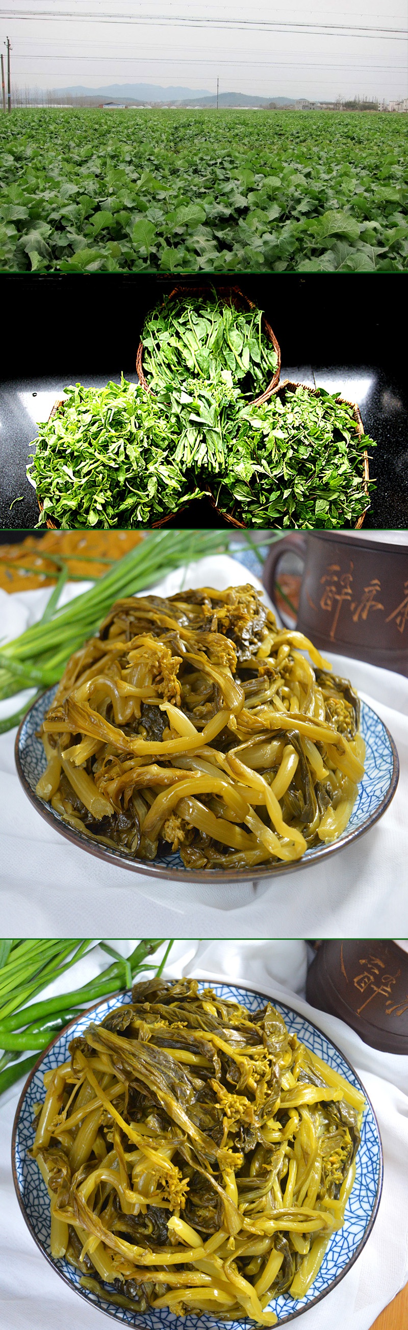 安徽特产芜湖油菜苔马鞍山油菜苔宣城油菜苔咸菜下饭菜腌制油菜苔