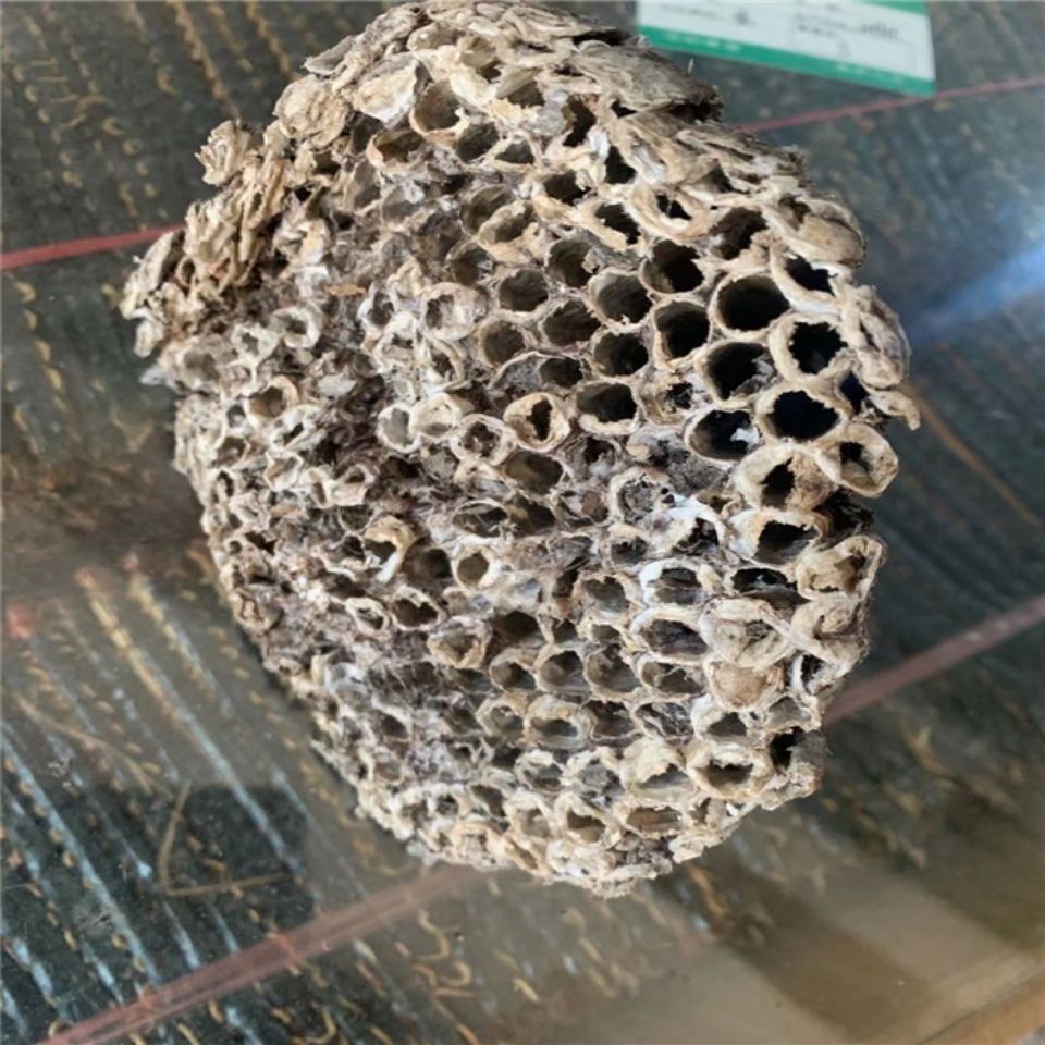 马蜂窝鲜蜂房中药材蜂窝野生露蜂房胡蜂巢露蜂房硬蜂房官方直营蜂房粉