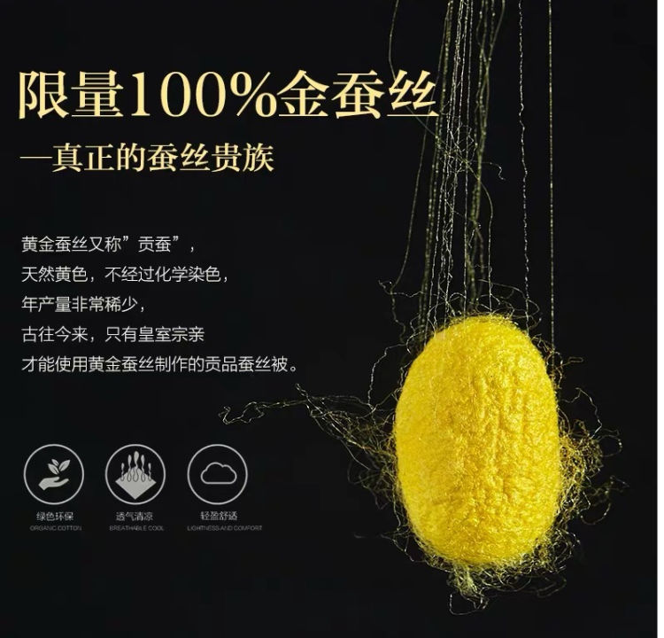 桐乡纯手工蚕丝被正宗黄金丝桑蚕丝春秋被子母被结婚被子冬被200x230