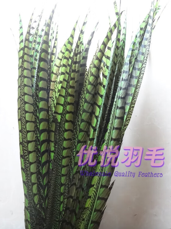 欧凯奇玖亚迪 舞台俏花旦京剧戏曲头饰翎子鸡毛山鸡尾野鸡毛鸡侧尾