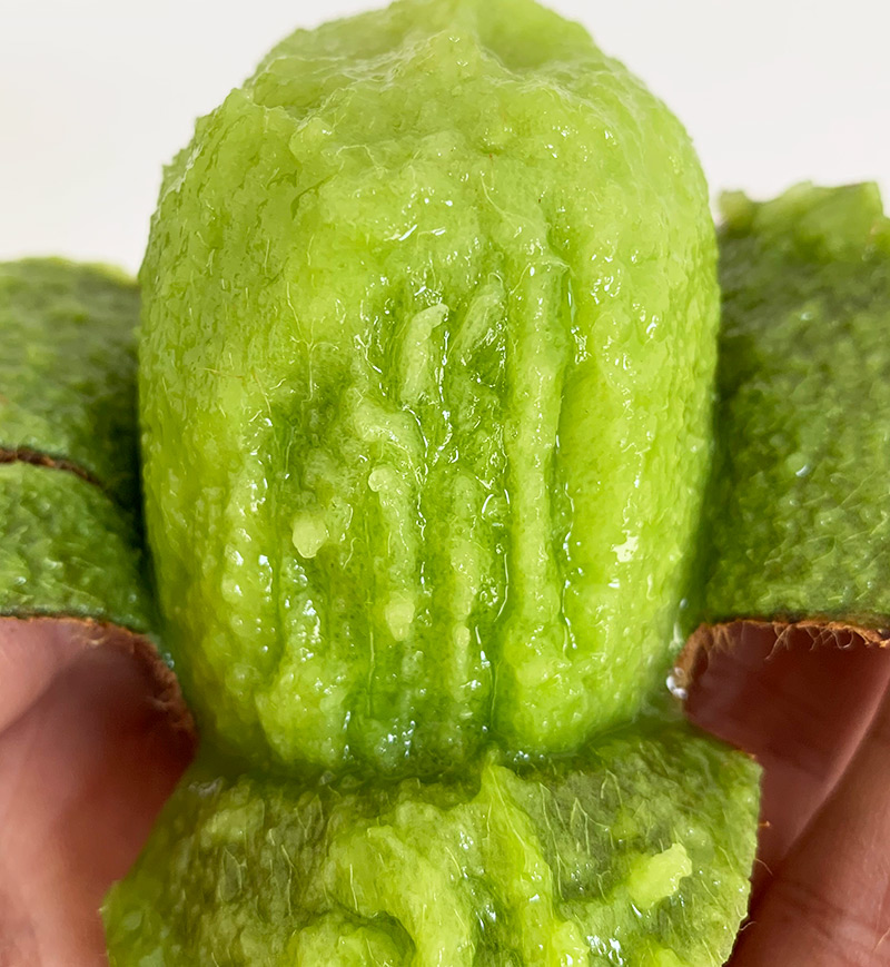 瑞玉猕猴桃应季新鲜孕妇水果 陕西特产眉县奇异果 瑞玉猕猴桃5斤(特大