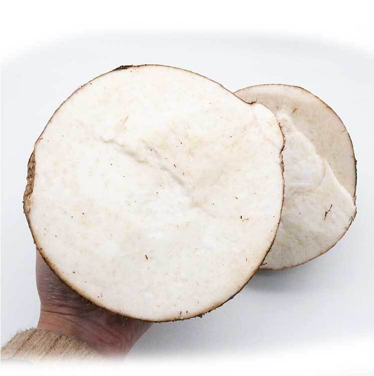 脆口芋头福建脆口芋头母新鲜芋头芋子农家原生态种植53斤芋头母大切丝