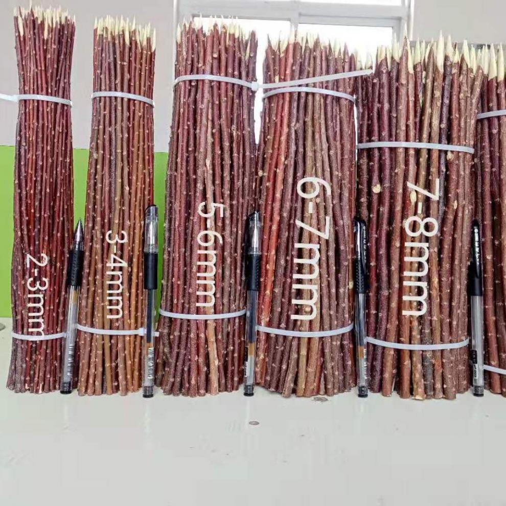 红柳枝烤肉签子烧烤红柳木签字羊肉串签红柳烧烤30354050烧烤针35厘米