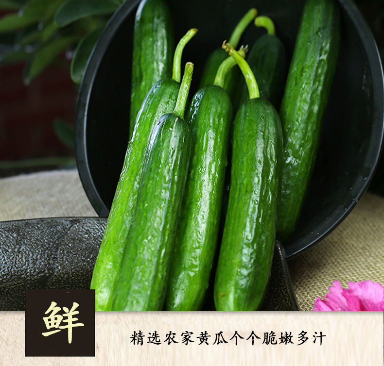 货慧明园随机发八宝酱黄瓜酱菜泡菜香辣可口下饭菜 八宝酱瓜6袋(三斤)