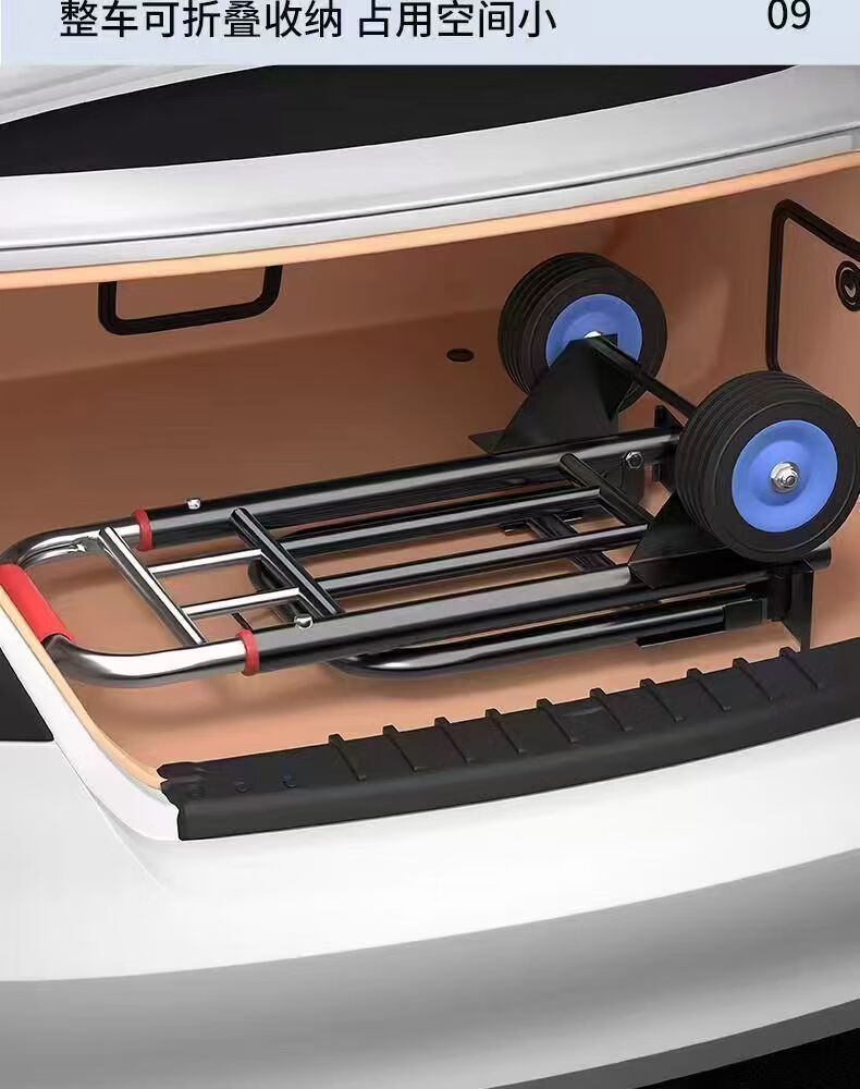 e48f3386-9938-4a3d-8d1e-60893df27f6f.jpe