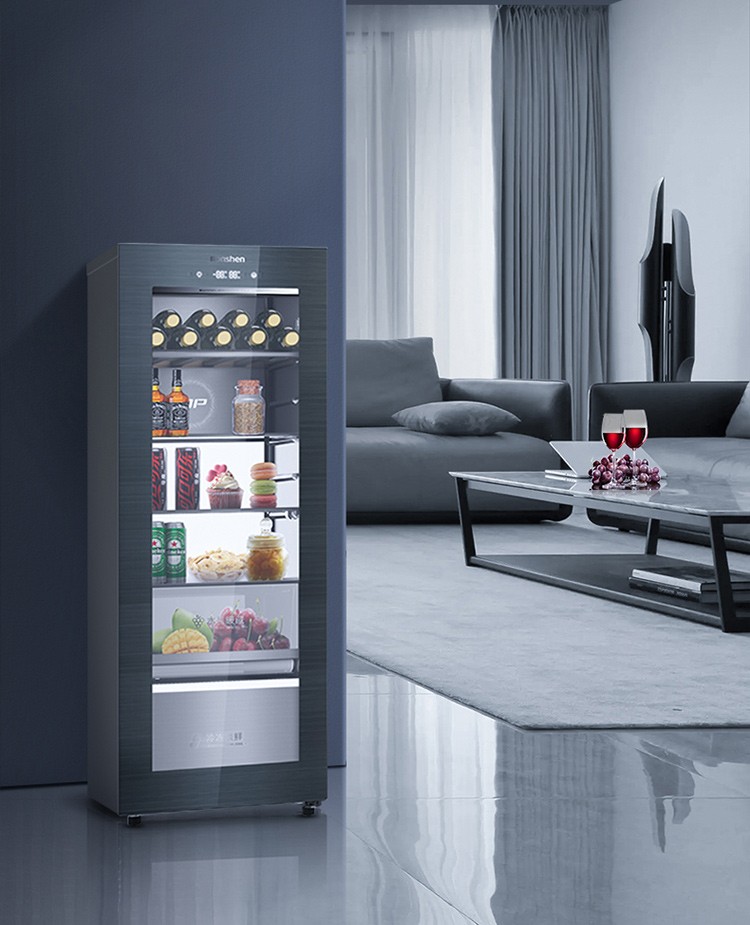 容声ronshen165升小型家用冰吧立式冰柜双温除菌净味一级能效jc165wca