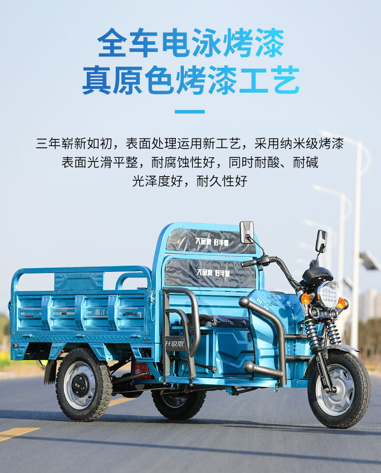 田洋电瓶成人代步货车载重王快递电瓶车家用拉货农用电动三轮车 1.