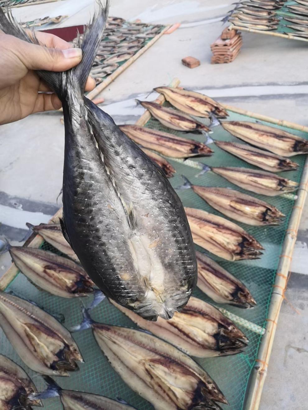 青岛特产一卤鲜甜晒鲅鱼淡晒马鲛鱼鲅鱼干甜晒微盐干货水产 1.