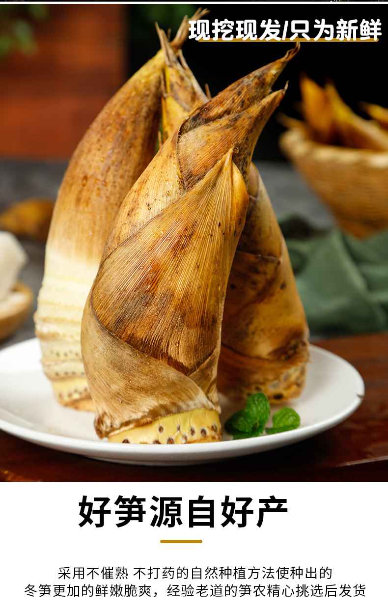 新鲜冬笋现挖浙江临安毛竹笋天目山野生嫩鲜笋 1500g