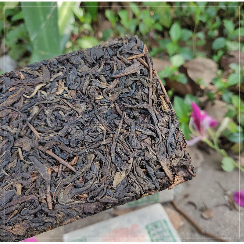 云南普洱生茶宋聘号生茶砖250克茶叶干仓老生茶 250g【图片 价格 品牌