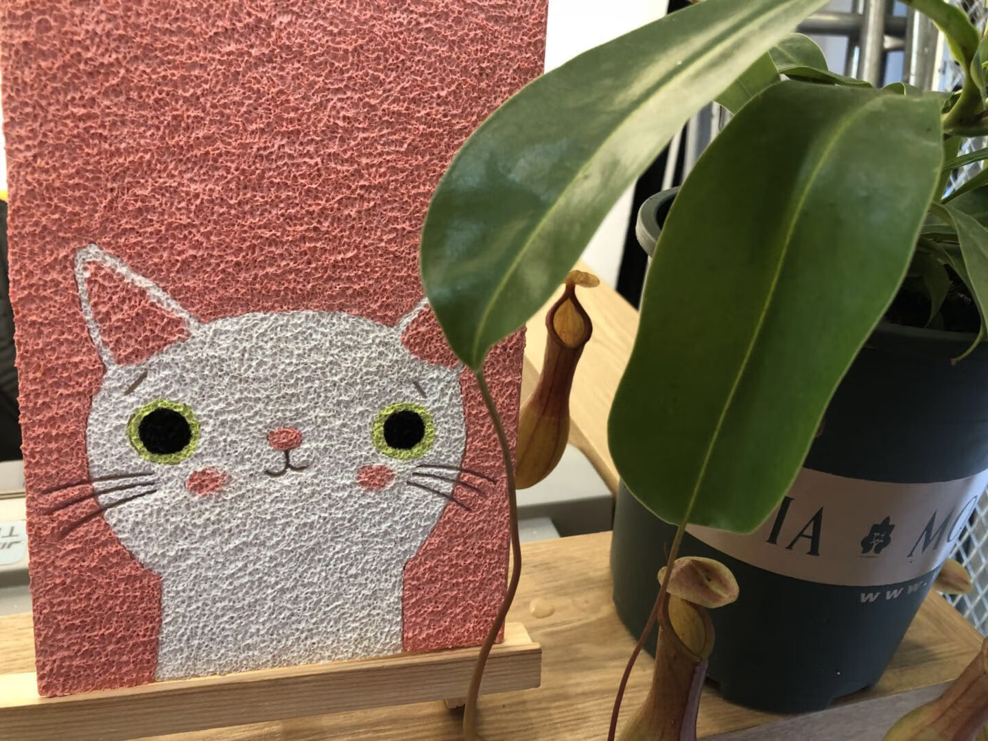 卡通纸浆画材料包打发时间手工diy9只猫咪立体创意礼物