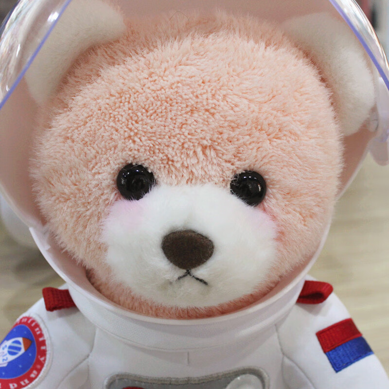 小泰迪熊公仔毛绒玩具网红卡通熊钥匙扣挂件玩具太空熊粉色坐高30厘米