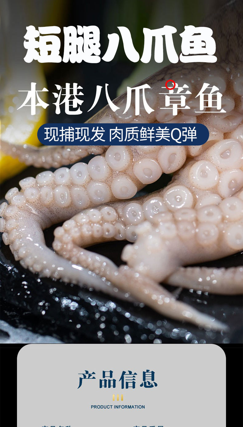 新鮮八爪魚鮮活海鮮短腿八爪魚爆頭海鮮鮮活水產1斤試吃裝