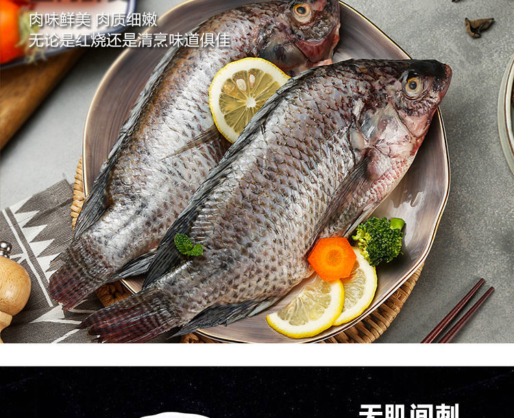 羅非魚冰凍新鮮活魚現殺羅飛淡水魚福壽魚燒烤魚騰旺納躍2條1斤順豐