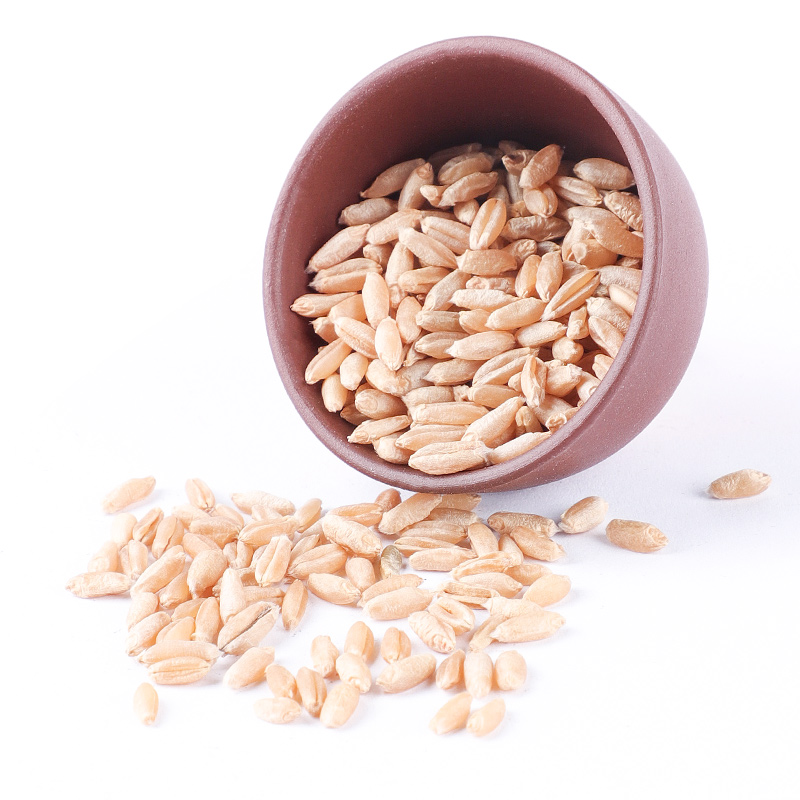 北京同仁堂淮小麦中药材500g怀小麦新非失眠野生中药材店铺中药房药