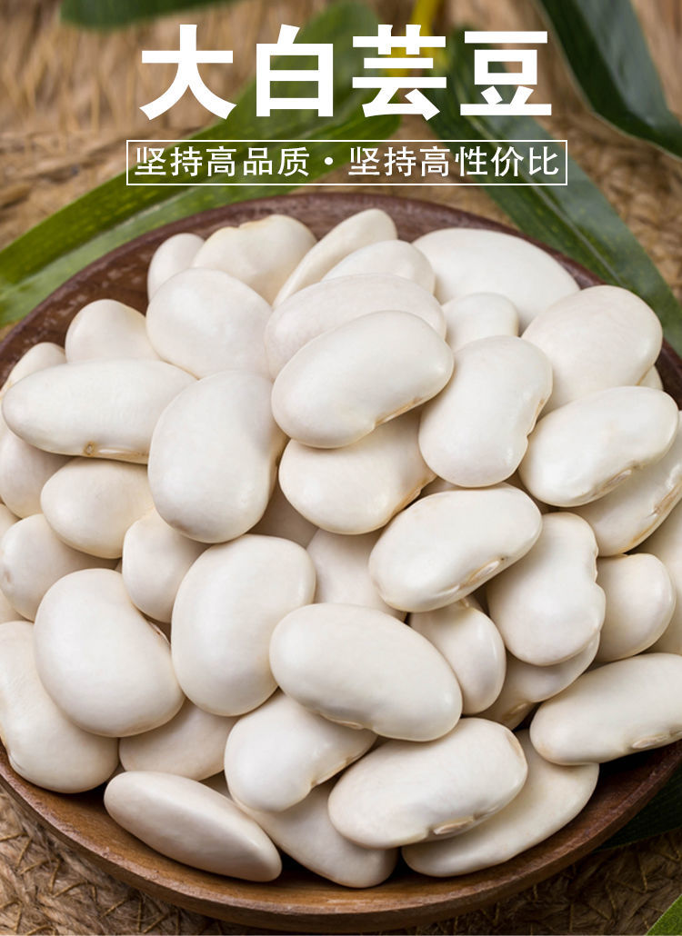 新货大理白芸豆云南特产大白芸豆农自种大豆白云豆五谷杂粮豆类白芸豆