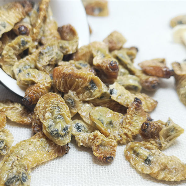 蛴螬野生中药材蛴螬 土蚕 老母虫 核桃虫 蛴螬虫 可磨蛴螬粉 野生蛴螬
