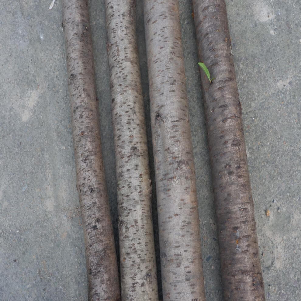 匠师傅匠师傅桃木原木树枝桃木剑挂件婴儿孕妇随身携带饰品摆件东南