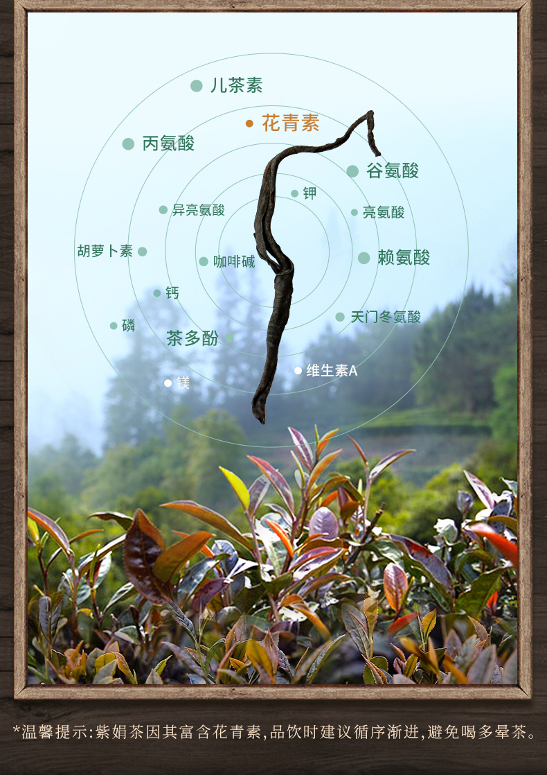 凤牌紫娟红茶特级云南滇红茶浓香型袋装茶叶红茶凤庆工夫红茶200g实惠