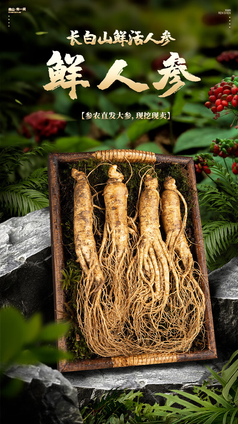 东北长白山直发现货多规格新鲜人参 10～20克(25-50条)/斤【图片 价格