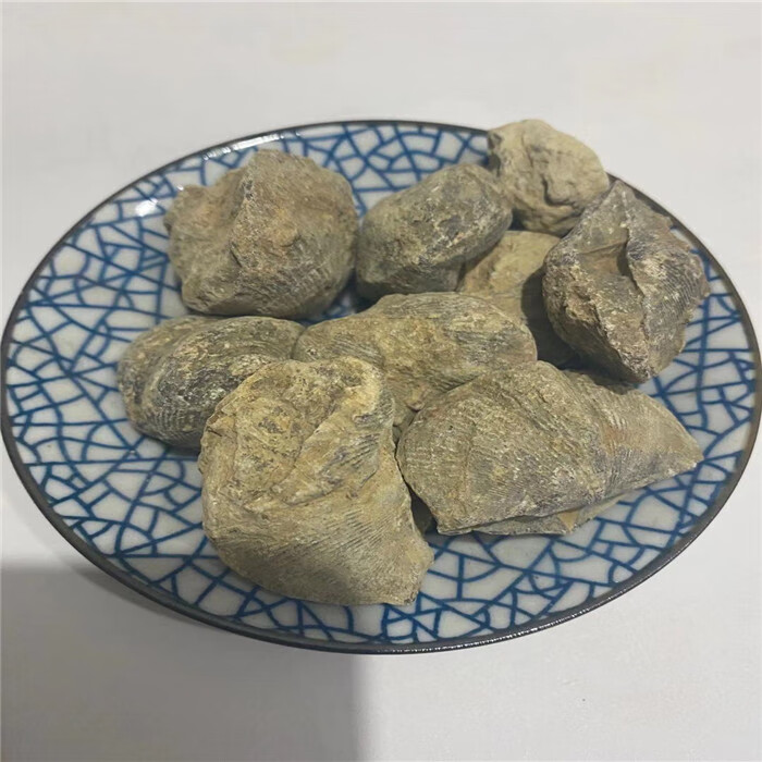 中药材石燕 新货 燕石子 燕子石 水飞石燕【图片 价格 品牌 报价】