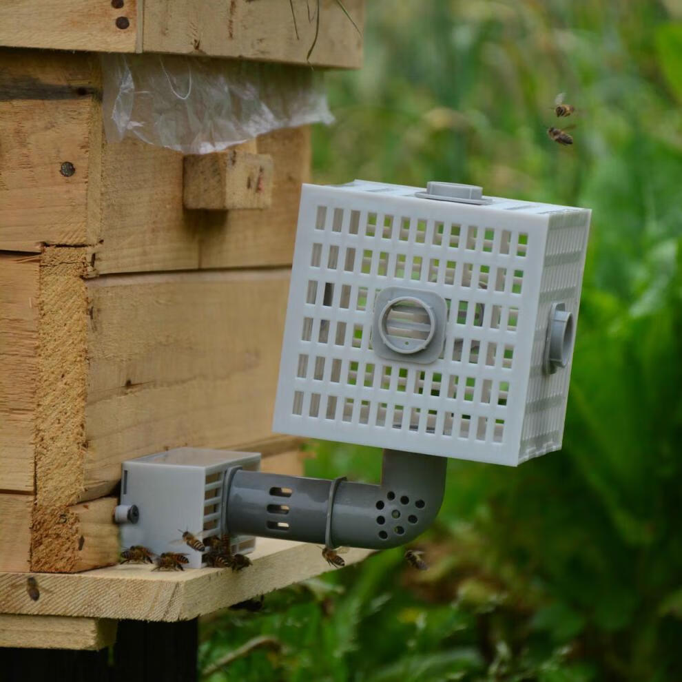 中蜂自动收王分蜂器,除雄蜂神器,导王管,隔王片,多功能自动分蜂器 1个
