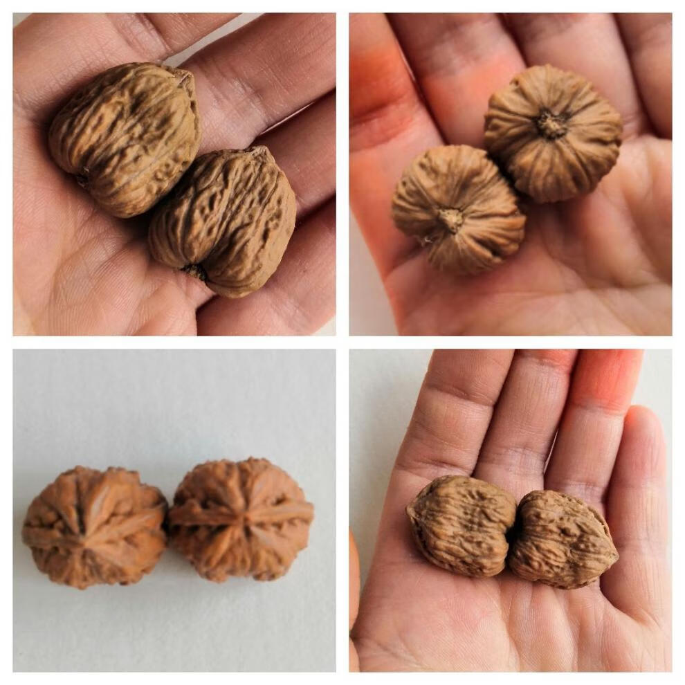 艾墨菲成对把玩文玩核桃秋子野生山核桃一对手捻手玩太行山脉核桃一号