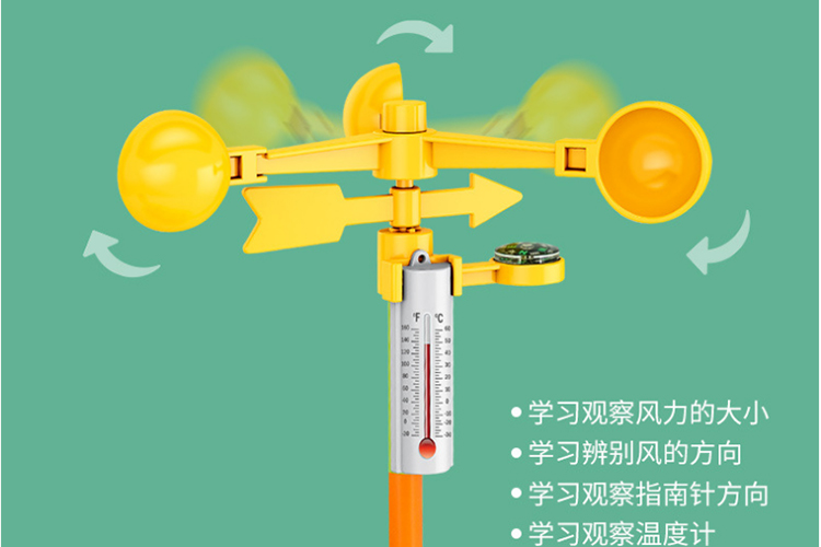 柚公主幼儿园儿童diy气象站科学观察趣味迷你小植物草莓小盆栽种植