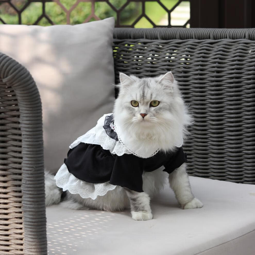 盼我pandada猫咪衣服女仆装蕾丝裙cos制服变身装猫衣服宠物连衣裙狗
