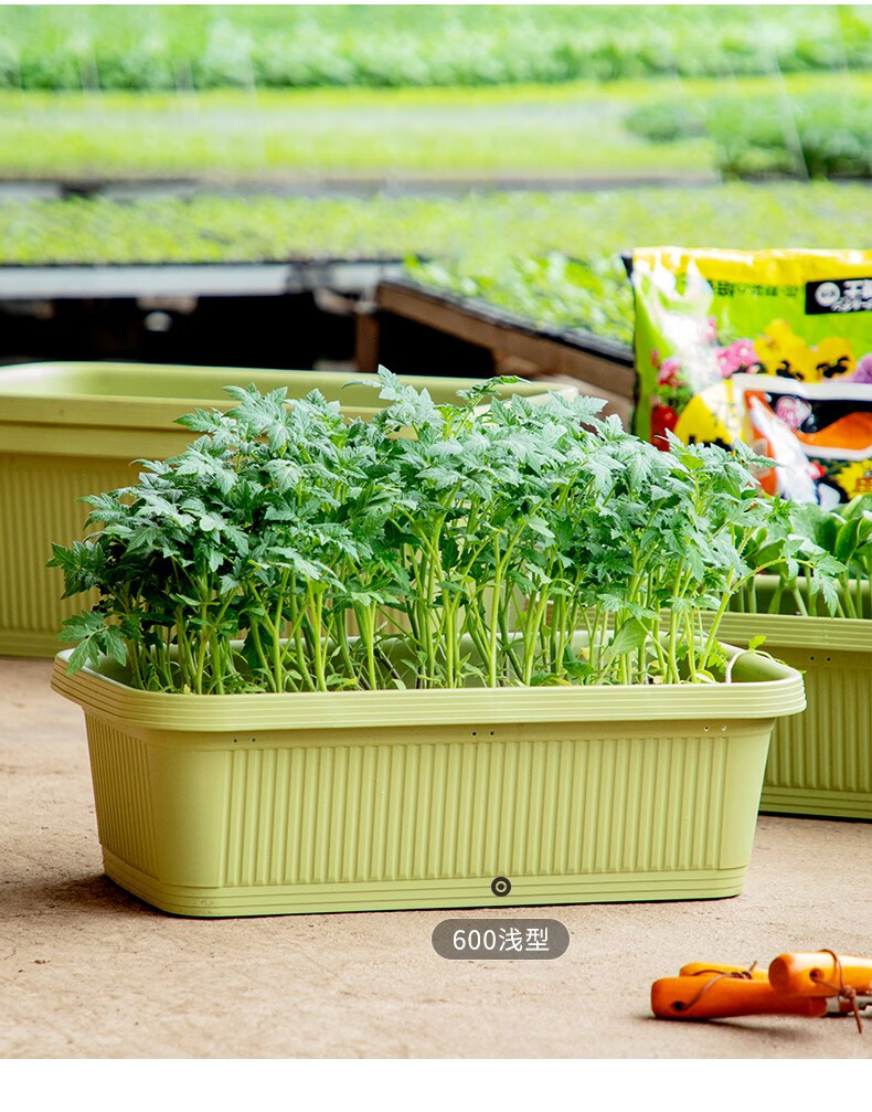 泰西丝塑料花盆特大号阳台蔬菜种植箱长方形种菜箱种菜神器户外花箱
