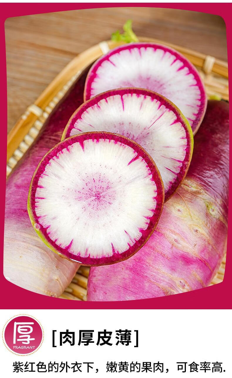 山东冰糖心水果萝卜潍坊萝卜甜脆型生吃5斤冰糖心