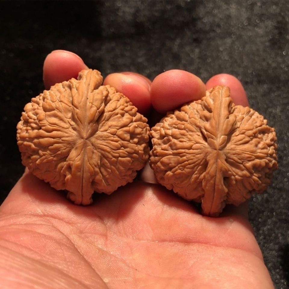 文玩核桃三角闷尖白狮子头古玩手玩老树粗筋小尺寸手捻盘玩手把件 闷