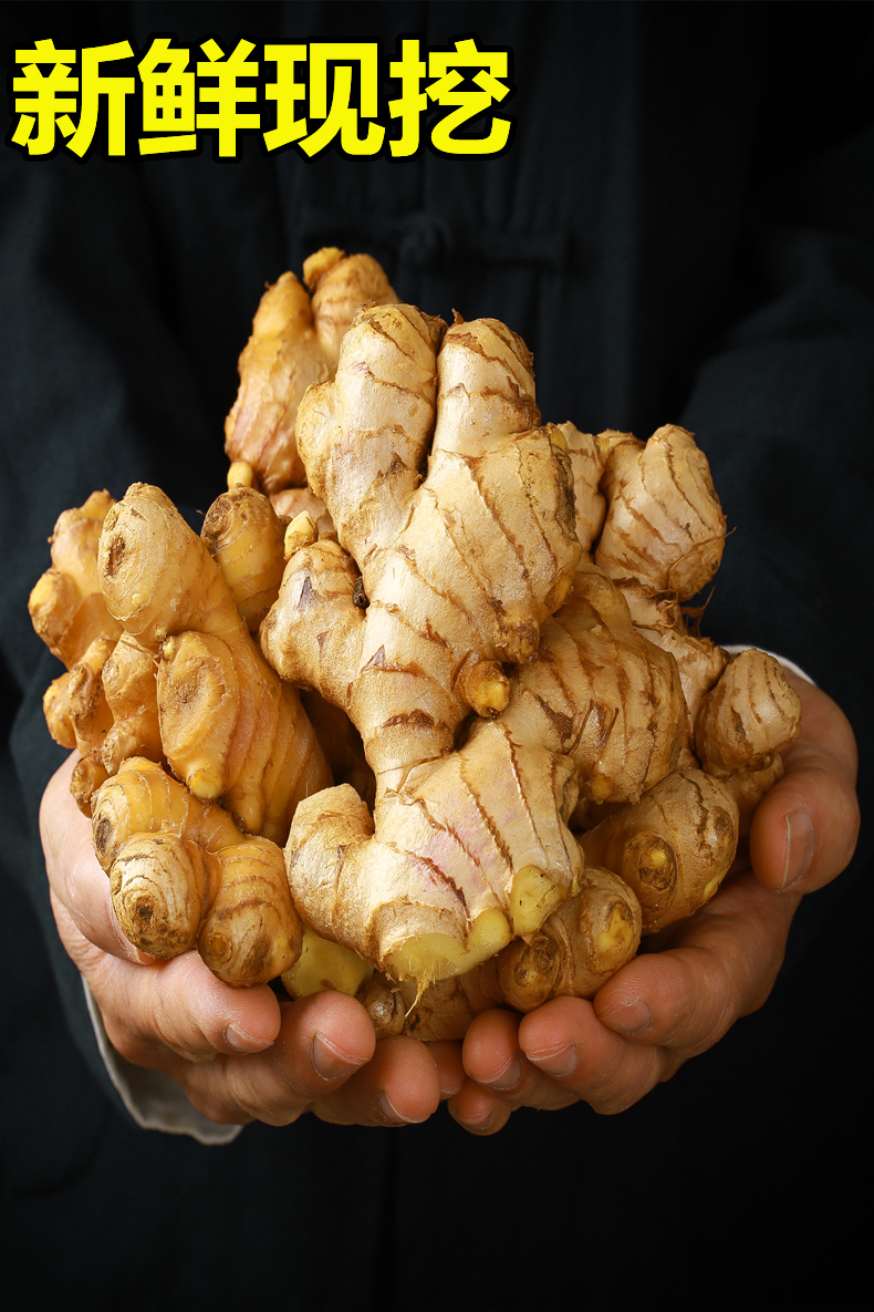 云南小黄姜新鲜现挖10斤生姜新姜月子姜老姜新鲜蔬菜嫩姜食用批发2500