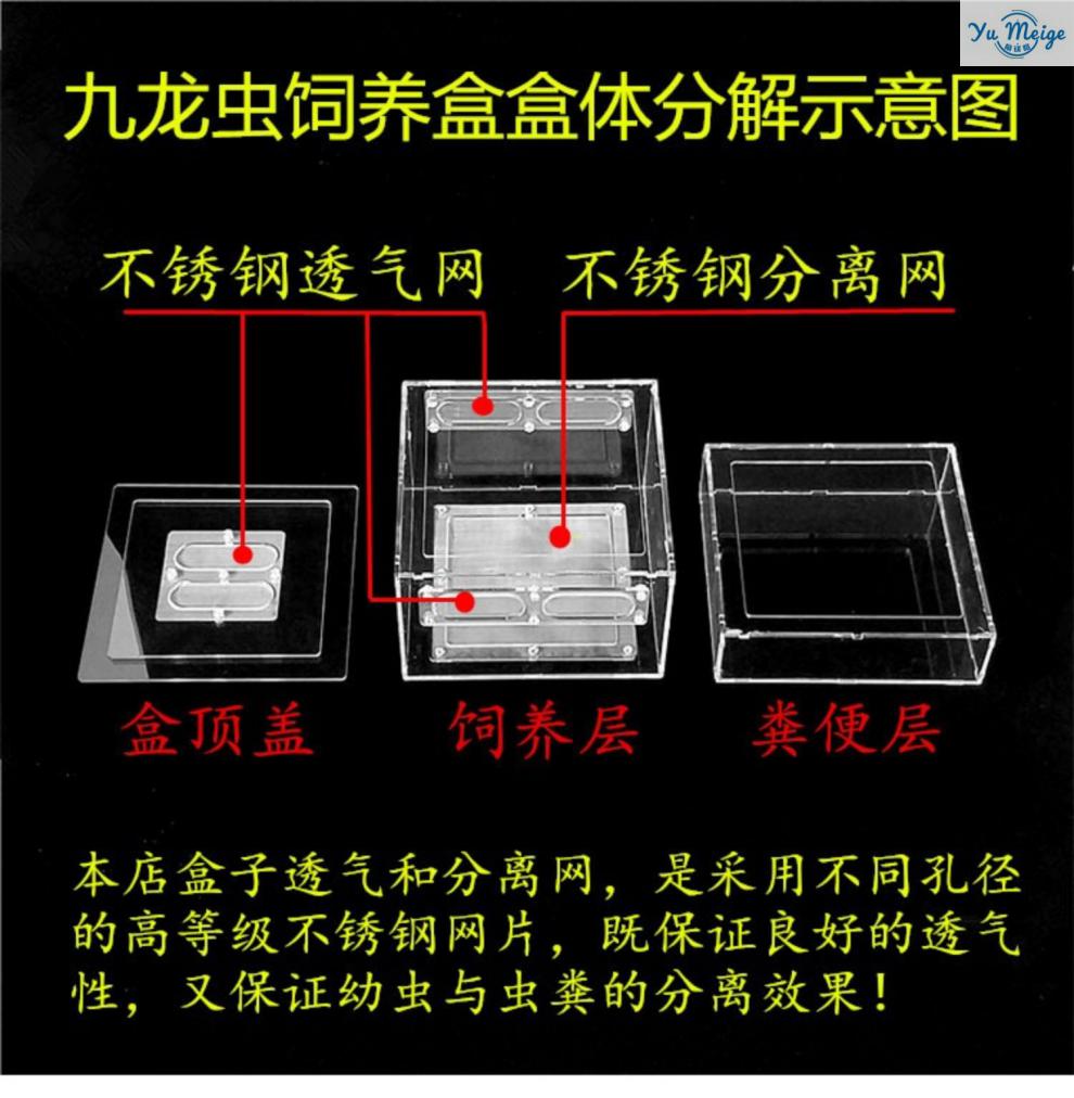 现货速发 新款九龙虫饲养盒 定制九龙虫养殖盒繁殖盒养殖箱亚克力幼虫