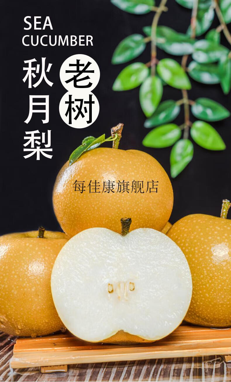 青青大地老树秋月冰糖梨礼盒山东莱阳秋月梨子10新鲜水果产地直发【京
