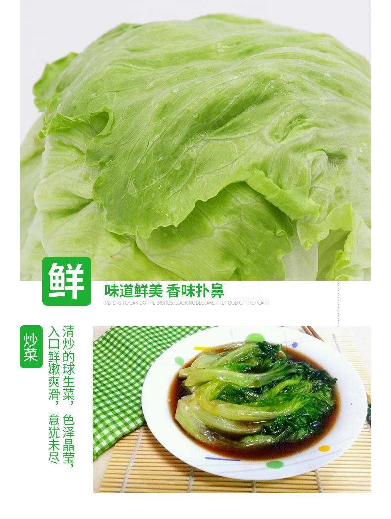 新鮮球生菜新鮮蔬菜漢堡生菜西生菜球形圓生菜多省3斤裝