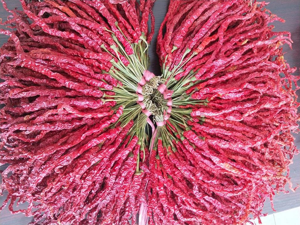 微辣特香贵州大方特产皱椒精选特级皱椒种子干椒辣大方皱椒干辣子500