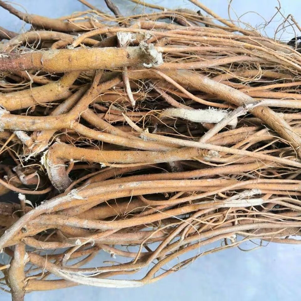 福建虎尾轮客家石参根土特产500g农家炖汤