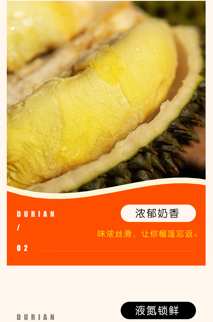 冷链配送正宗马来西亚稀有品种d175红虾榴莲树上熟榴莲新鲜水果3438斤