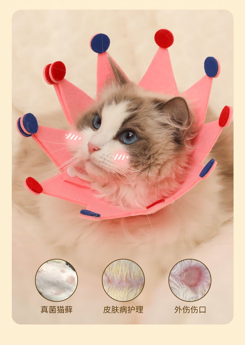 伊丽莎白圈猫围脖防咬防舔宠物用品脖圈脖套可调节绝育耻辱圈可爱
