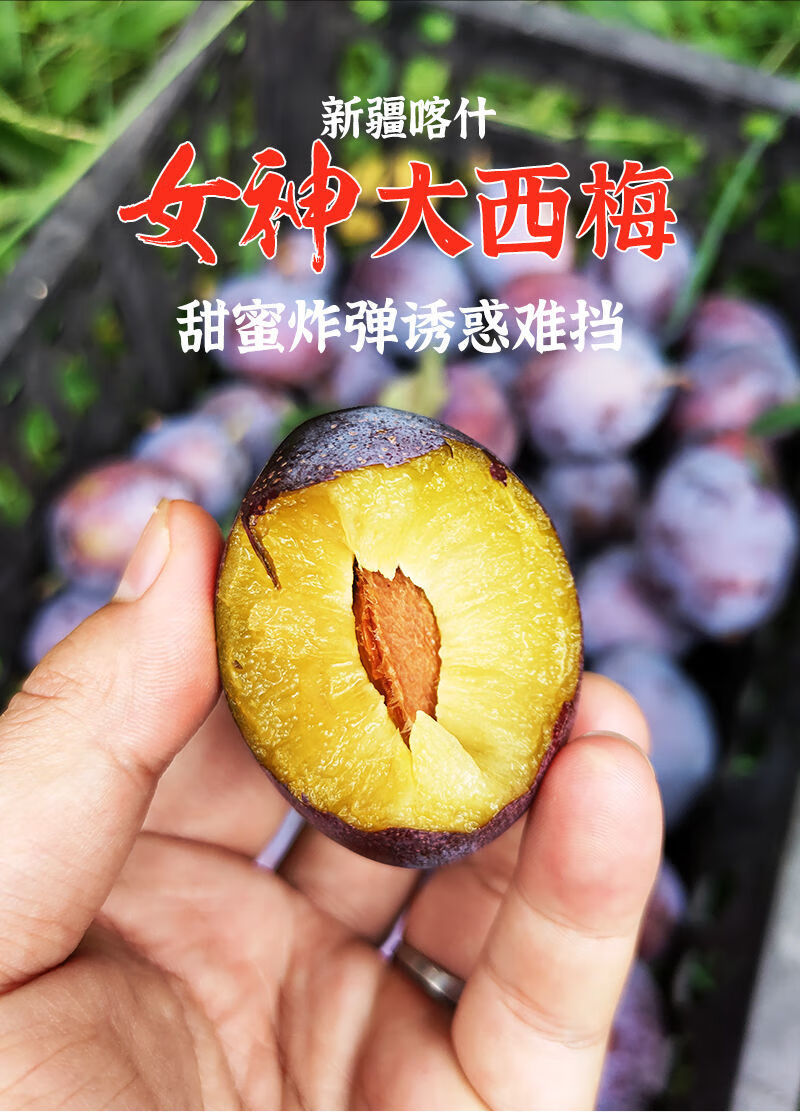 现摘新鲜西梅 新疆喀什女神大西梅李子 3斤/5斤昌隆福记 3斤【严选装