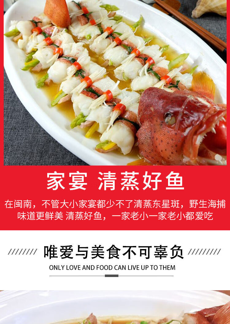 深海燕尾东星斑石斑鱼深海鲜活速冻新鲜国产海鲜水产禧客鲜1斤一条1条